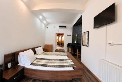 Afacere funcțională - Sală de Evenimente–Motel – Loc. Valea lui Mihai - 14
