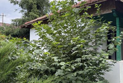 Afumați, jud. Ilfov, strada Mircea Vodă, casă demolabilă - 15