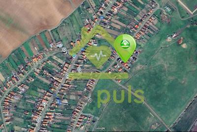 🏡 Casă individuală, 7 camere, mobilată și utilată – Pișchia ✨ - 16