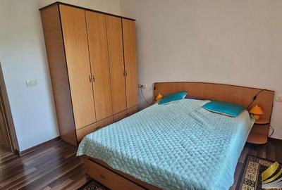 Casa individuala de inchiriat Clinceni-Olteni - 6
