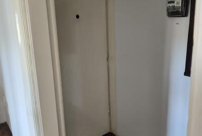 Apartament 2 camere Gradina Botanica/ Palatul Cotroceni - 10