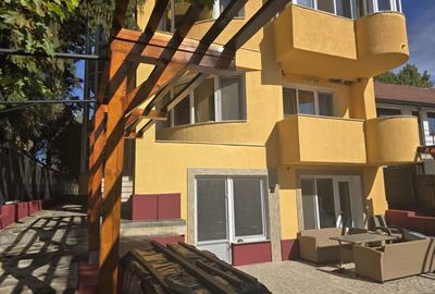 Inchiriere apartament Snagov, teren, ponton, lac - 42