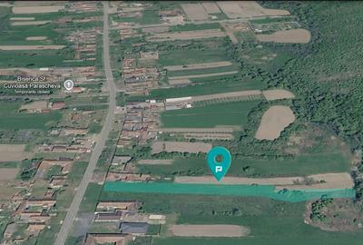 Teren 3,024 mp in localitatea Dorgos - 4