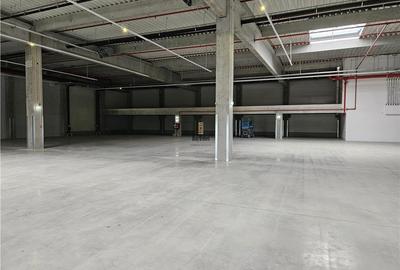 Spatiu Industrial - 2500 mp - Productie - Depozitare - Distributie - 13