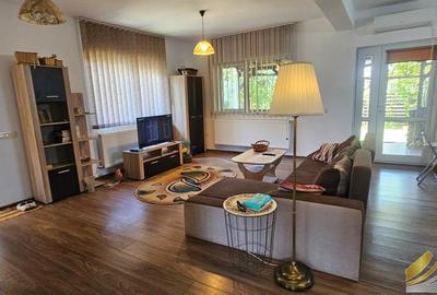 Casa individuala de inchiriat Clinceni-Olteni - 1