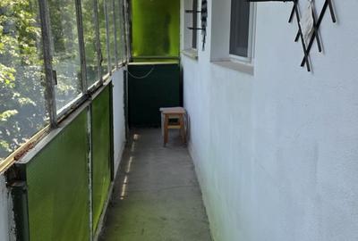 3 camere Drumul Taberei metrou Brâncuși /Valea Argeșului - 10