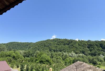 Investiție Turism | Casă | 5164 mp teren | Lac Propriu | Malu cu Flori - 13