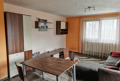 Casă cu 5 camere în Florilor
