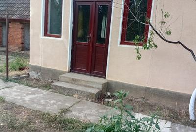 Vanzare Casa in localitatea Bodrogu Nou - 2