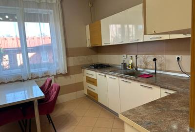 Vilă exclusivistă în Urseni  250 mp construiți - 11
