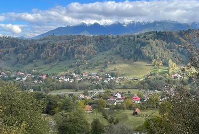 Teren extravilan cu priveliste catre Bucegi – Moieciu de Jos 4.700 mp - 13