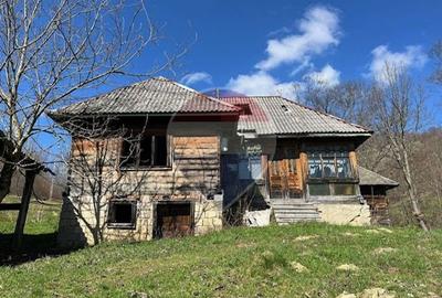 Teren agricol extravilan de 8047 mp, în Bârsana