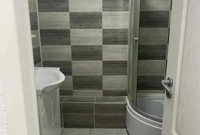 Apartament cu 2 camere decomandat de inchiriat in Sibiu zona Terezian - 6