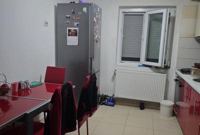Apartament cu 3 camere, renovat, 65 mp-parter-zona Circumvalatiunii - 8