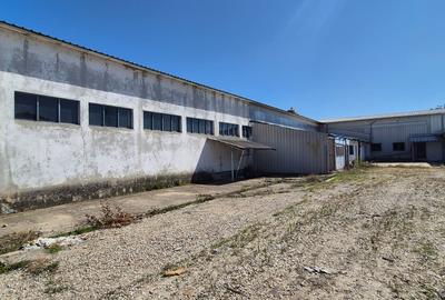 Spatii industriale 1.5Eur/mp - 3