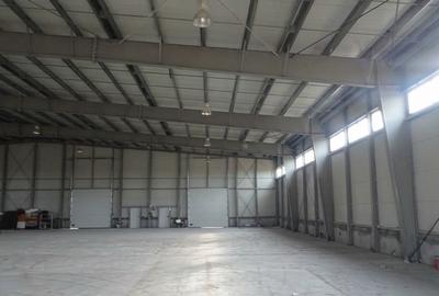 Varianta - DN3C - hala 625 mp., 200 kw, 2 cai de acces - 1