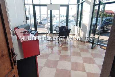 Spațiu comercial, 300 mp în Ștefănești
