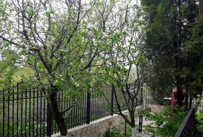 Vila de vanzare   Iancu Nicolae   Serban Cantacuzino - 5