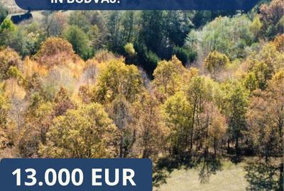 Teren extravilan de 3.500 m² de vânzare în Bodvaj! - 1