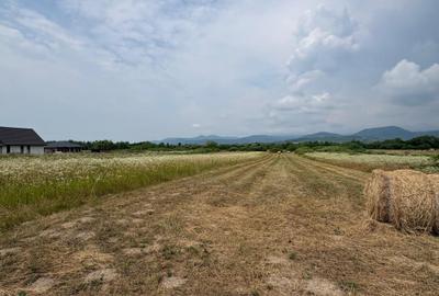 Teren agricol intravilan de 2200 mp, în Recea