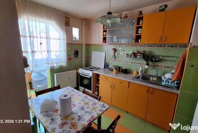 2Camere Lacu Tei Cristea Mateescu - 6