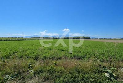 Teren agricol intravilan de 17204 mp, în Stupini