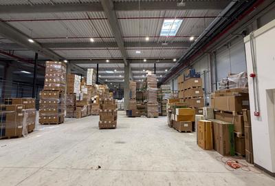 Hală logistică 576 mp CTP Afumați, dock TIR și drive-in, disponibilă - 4