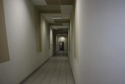 Spatiu pentru birouri, Complex Favorit - 14