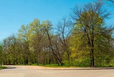 Vila visurilor tale există!Descoperă oaza de liniste în complexul Green City - 33