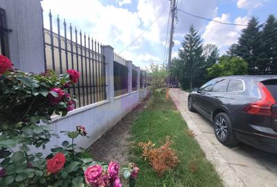 Vila de lângă Catedrala Ortodoxă ,,Sfânta Cuvioasă Parascheva" - 89