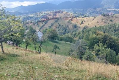 Teren de vânzare | Măgura, Brașov | Oportunitate de Investiție - 3