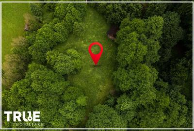 Teren intravilan 2.800 m² în Câmpu Cetății – liniște și natură - 12