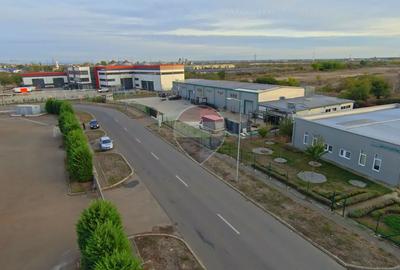 Hală în parc industrial Borș 1, teren 2.903 mp, de vânzare - 51