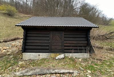Teren intravilan 1.28ha Remeti–perfect pensiune/cabane, zonă turistica - 1