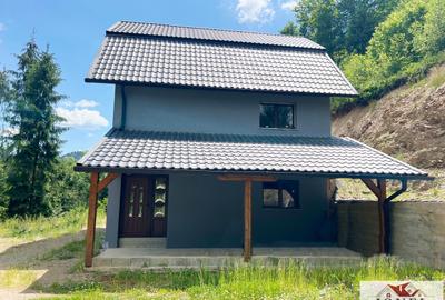 Casa de vanzare in Apuseni - Horea cu 16 000 mp teren - 3