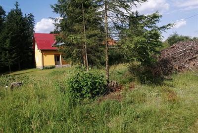Teren intravilan in Izvoru Muresului str. Taberei - 6