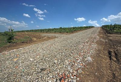 Teren de vanzare,  la 1,3km de LIDL Bucium, vecinatate cartier Panoramic - 7