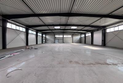 Hală industrială nouă depozitare de inchiriat Zona Industrială Sânandrei DN69 - 10