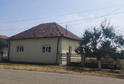 Casă individuală cu 4 camere în Sanislău