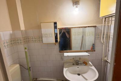 APARTAMENT 3 CAMERE TEIUL DOAMNEI - 7