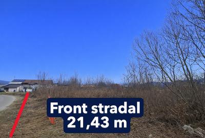 Teren intravilan 4.797 mp Bujoreni (Lăzărești) – zonă Lic, P+2E - 1