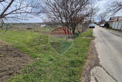 Teren 861mp Pielesti, intravilan, imprejmuit, toate utilitatile - 6