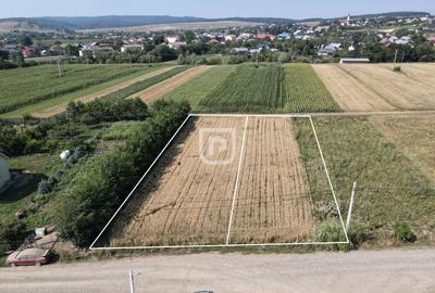 Teren Construcții intravilan de 1000 mp, în Ilișești