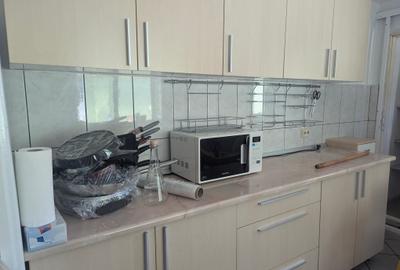 Casa Domenii Herăstrău, 4 camere, 2 băi, curte proprie. - 27