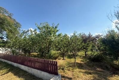 Vânzare proprietate Valea Argovei - 9