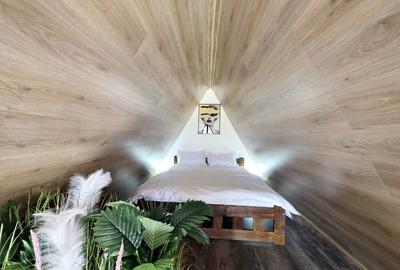 AFACERE LA CHEIE | Complex Turistic Premium A-Frame + Piscină | Snagov - 12