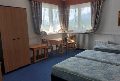 VILA D+P+E DE VANZARE IN BUSTENI, ZONA VALEA ALBA - 3