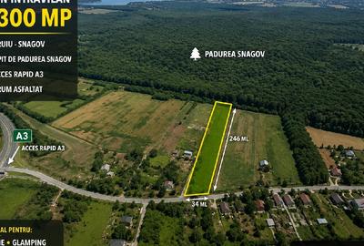 Snagov, Gruiu, Teren Intravilan 8,300 mp, Strada Tobosari - 2