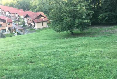 Teren pentru dezvoltatori, 2900mp Noua-Darste - 2