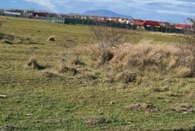 Teren 400 mp Sanpetru Intravilan - 2